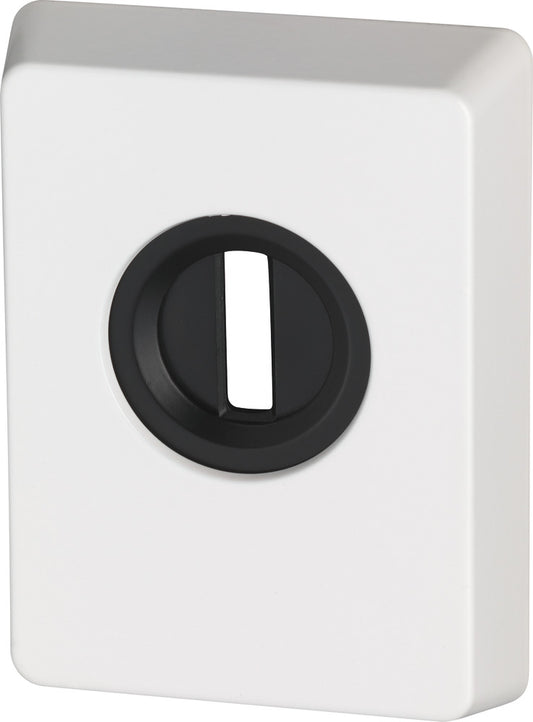 Zylinderschutz PZS70