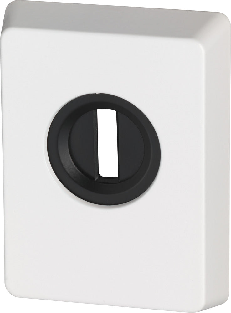 Zylinderschutz PZS70