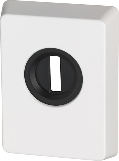 Zylinderschutz PZS70