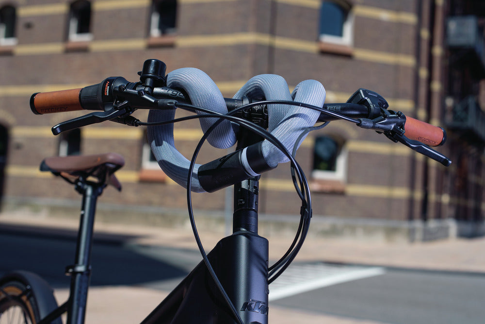 Kettenschloss Goose Lock 6206K/110