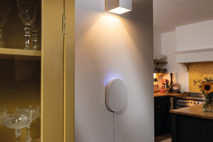 Funk-Alarmanlage Smartvest Pro - Starter-Set