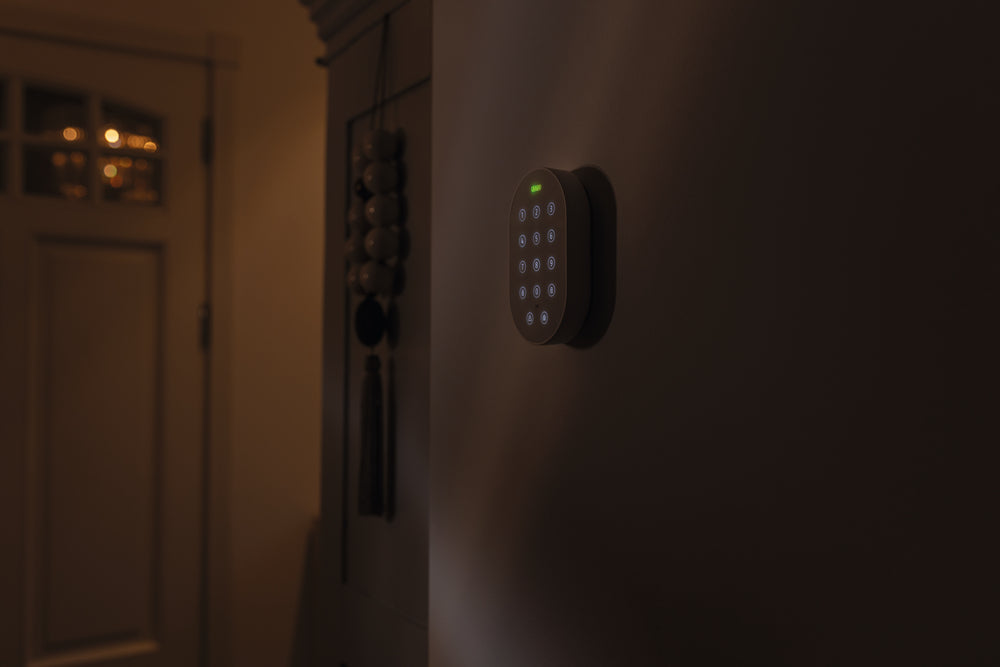 Funk-Bedienteil FUBE45010 Smartvest Pro