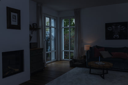 Funk-Bewegungsmelder FUBW45000 Smartvest Pro